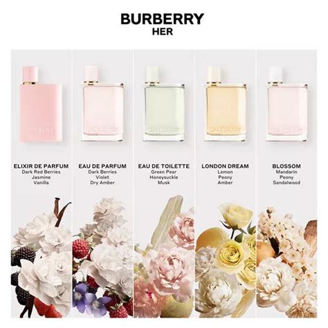 burberry fragrance notes|what does burberry smell like.